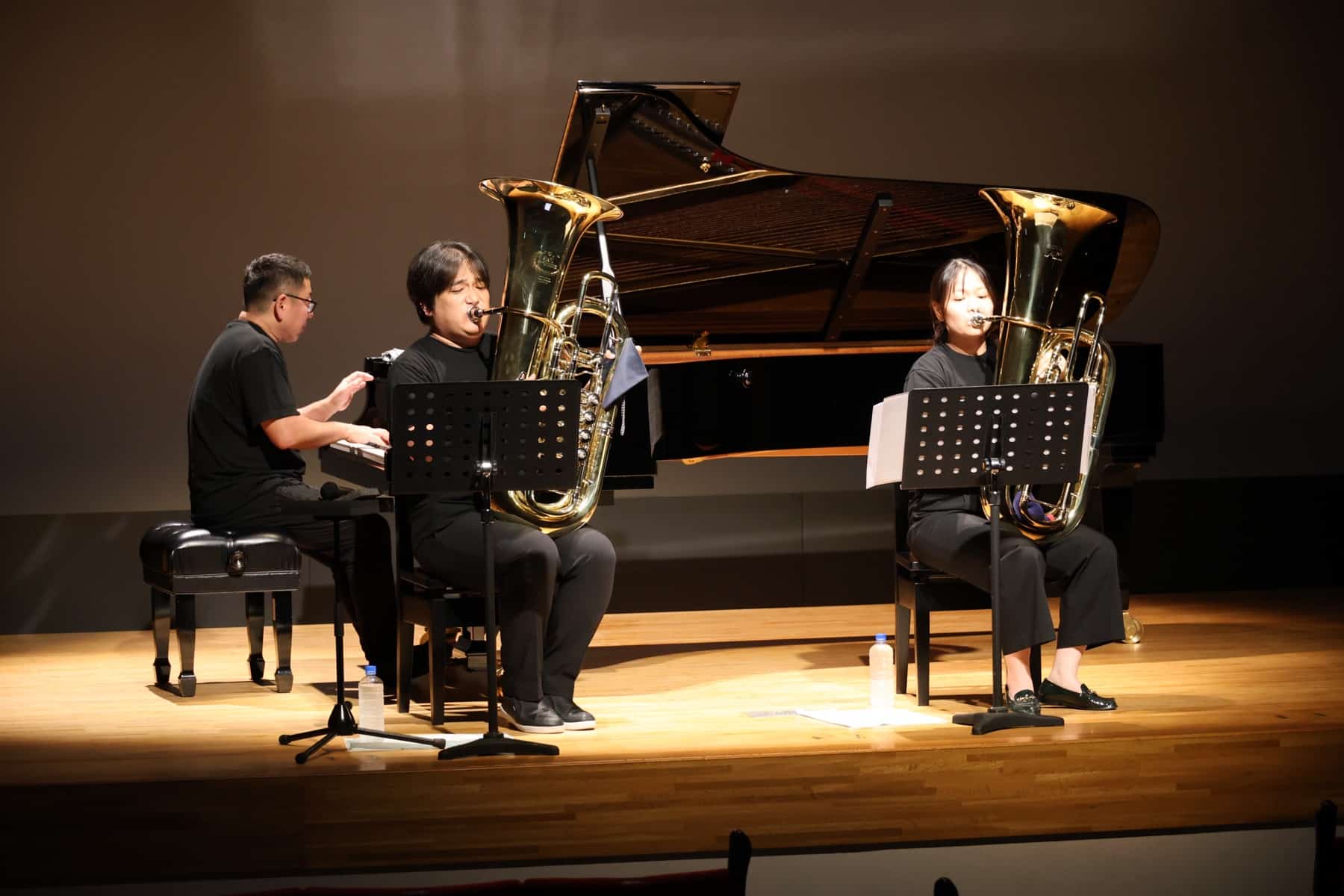 各地のホールでのオーケストラ／アンサンブル公演の様子（イメージ）